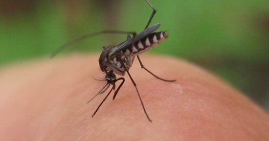 تزايد حالات 