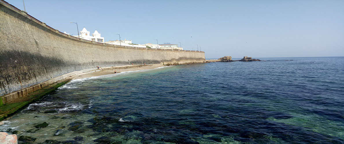 انطلاق إصلاح الحواجز الحديدية للواجهة البحرية لبولوغين 