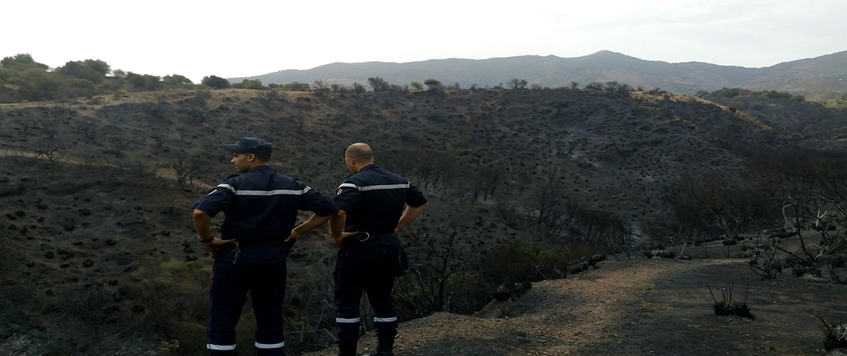 عودة الحرائق بالأطلس البليدي 