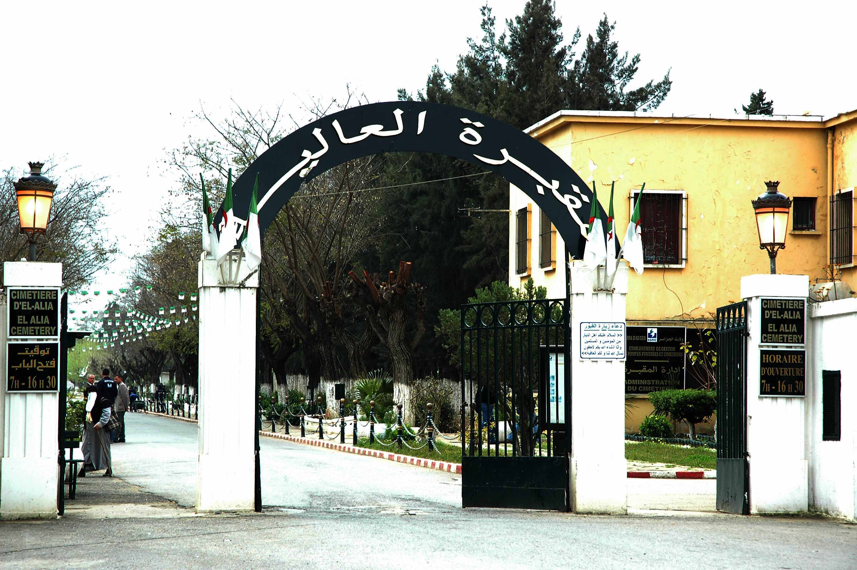 تخصيص مربع بـ