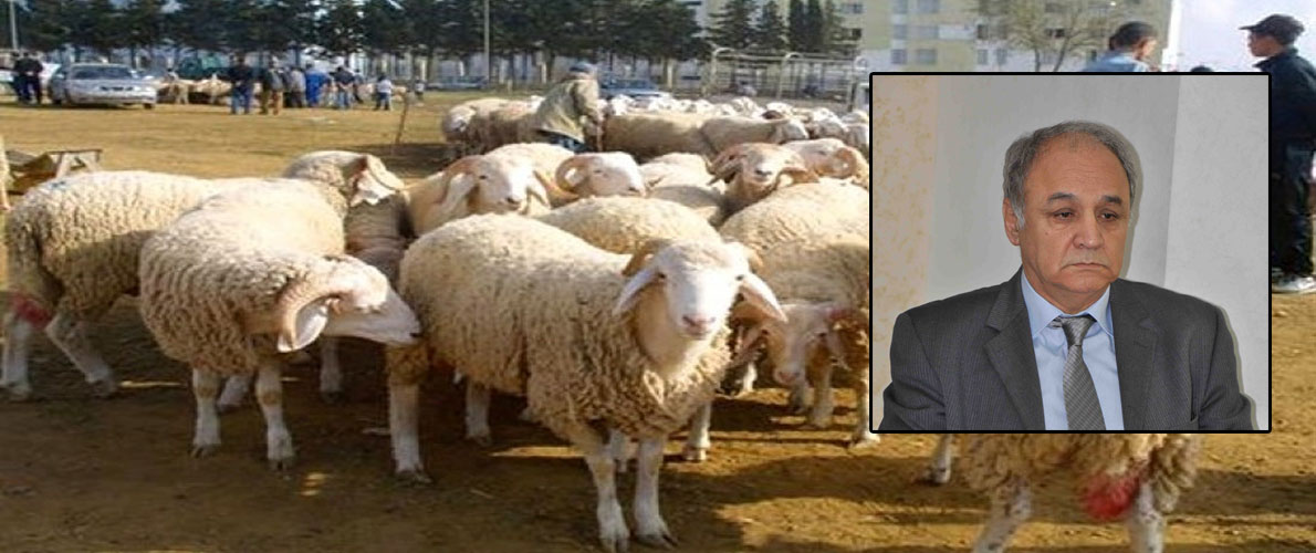 بركاني: شعيرة الذبح قد تساهم في انتشار الفيروس