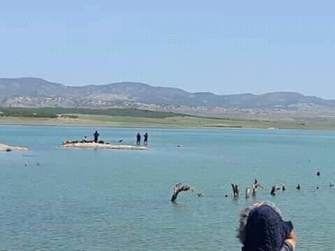 انتشال جثة شاب من سد بتبسة