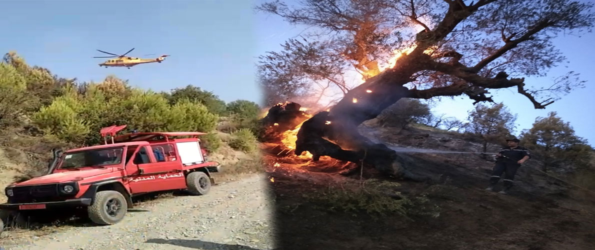 30 حريقا في عدة ولايات