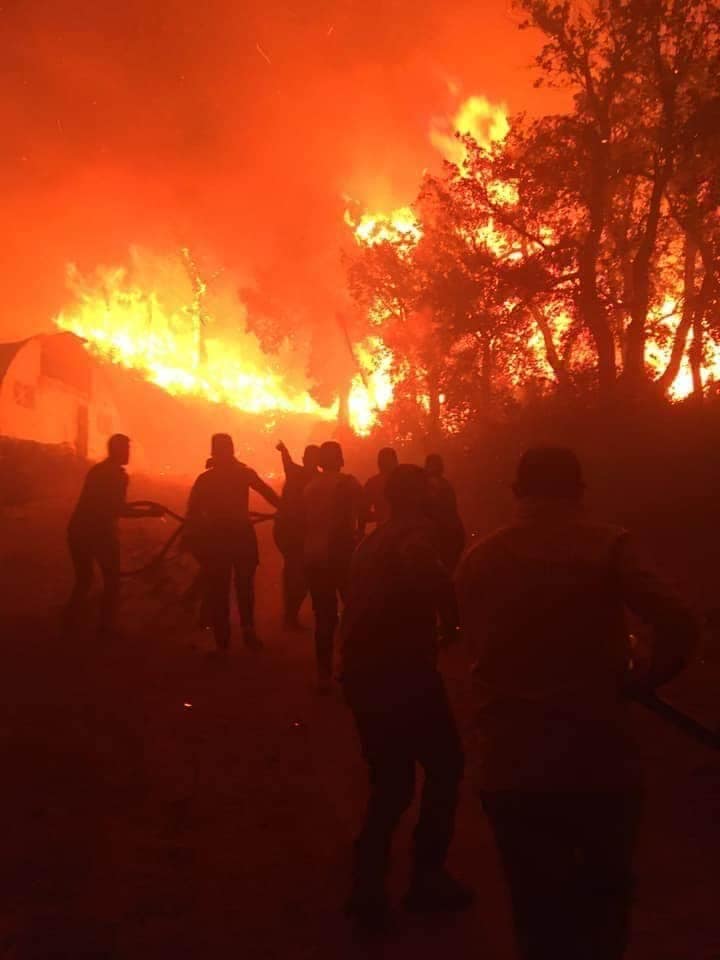 تيزي وزو: الحرائق تتلف ألف هكتار من الغطاء النباتي