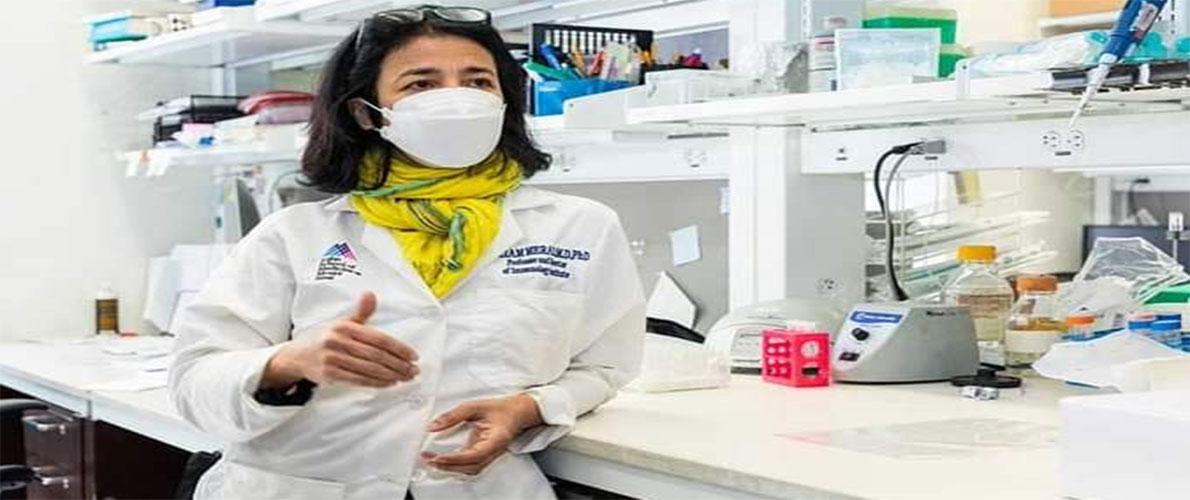 الرئيس تبون يهنئ البروفيسور مريم مراد