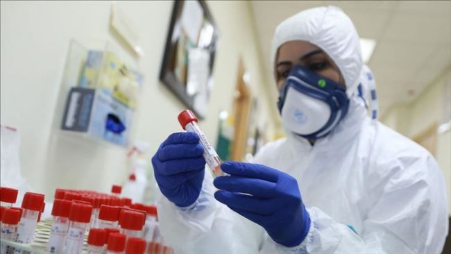 البرازيل تختبر لقاح السل لمكافحة كوفيد-19