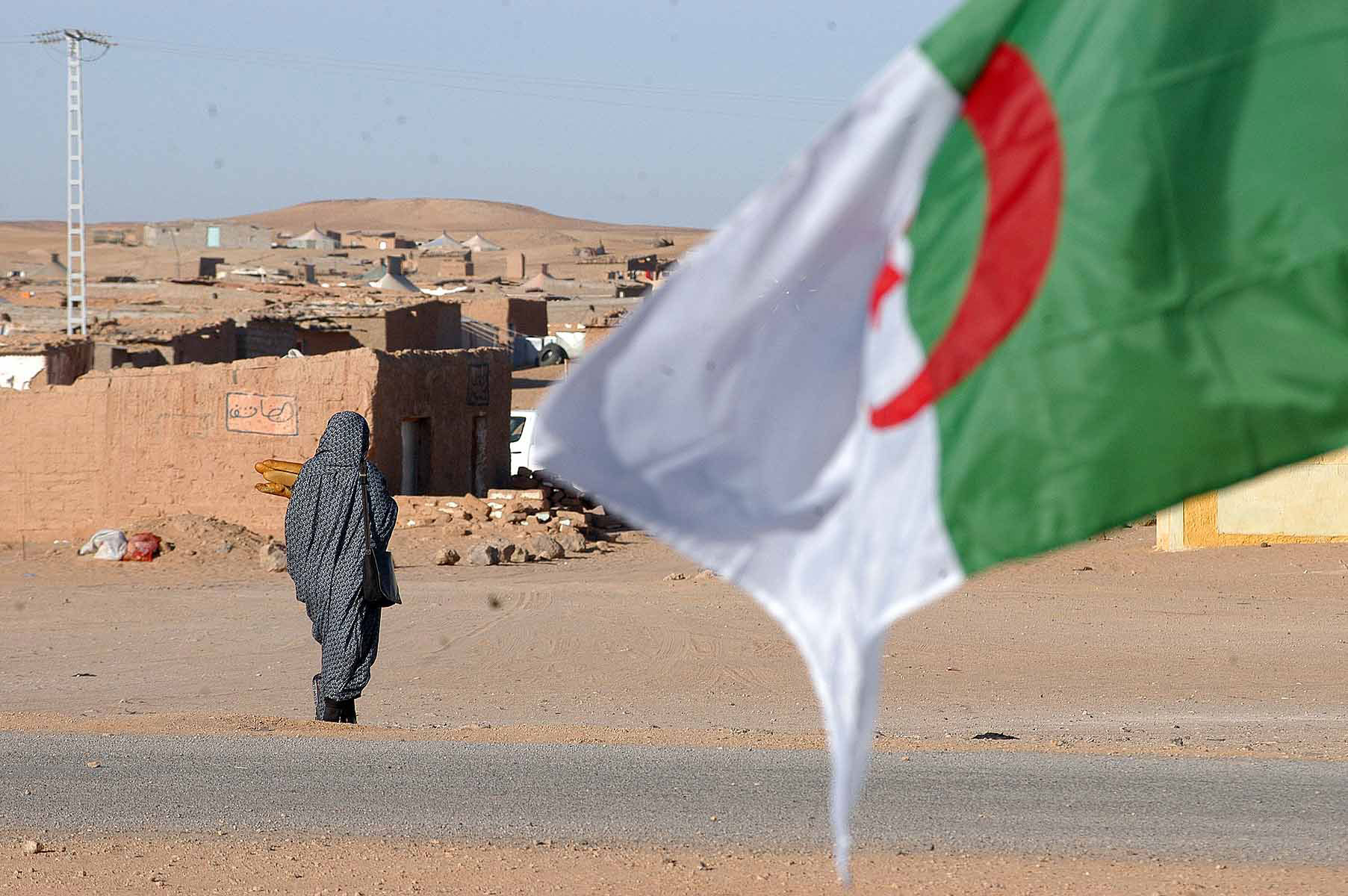 المساعدات الإنسانية للصحراويين: برناج الغذاء العالمي يشيد بدور الجزائر