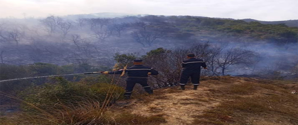 إخماد 21 حريـقـــا 