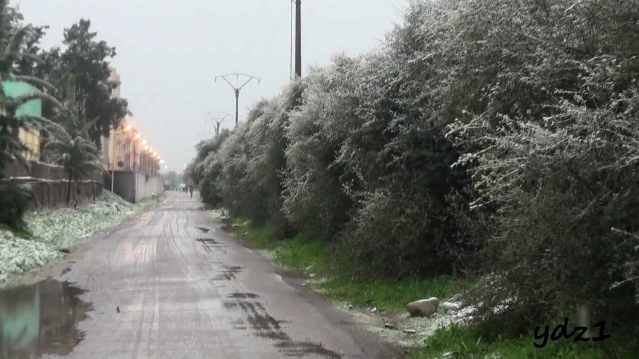 البليدة:العثور على عشريني معلقا إلى شجرة