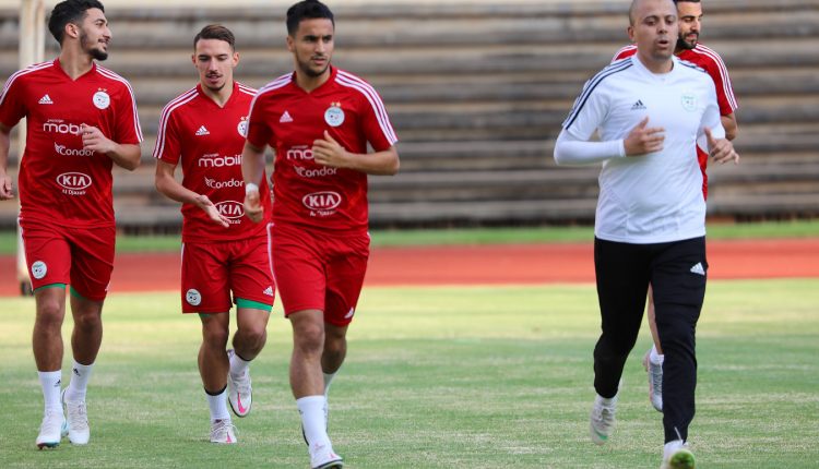 الخضر يواصلون استعداداتهم تحسبا لمواجهة زيمبابوي