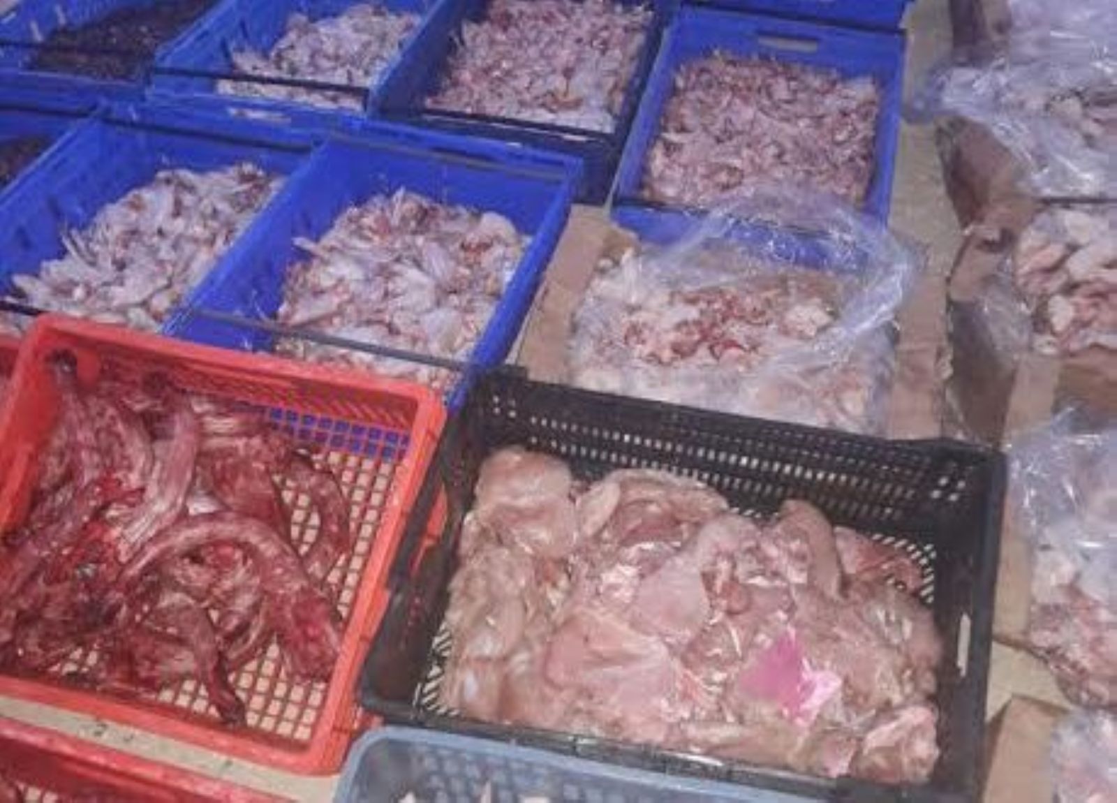 البويرة: حجز 161 كلغ من أحشاء الدجاج 