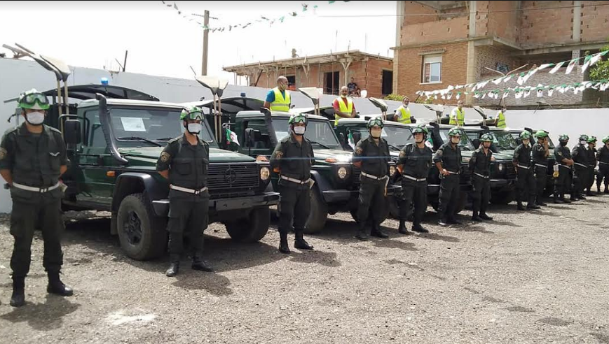 الحرائق تتلف 100 هكتار في تيبازة