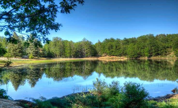 بجاية: غلق طريق البحيرة السوداء‎