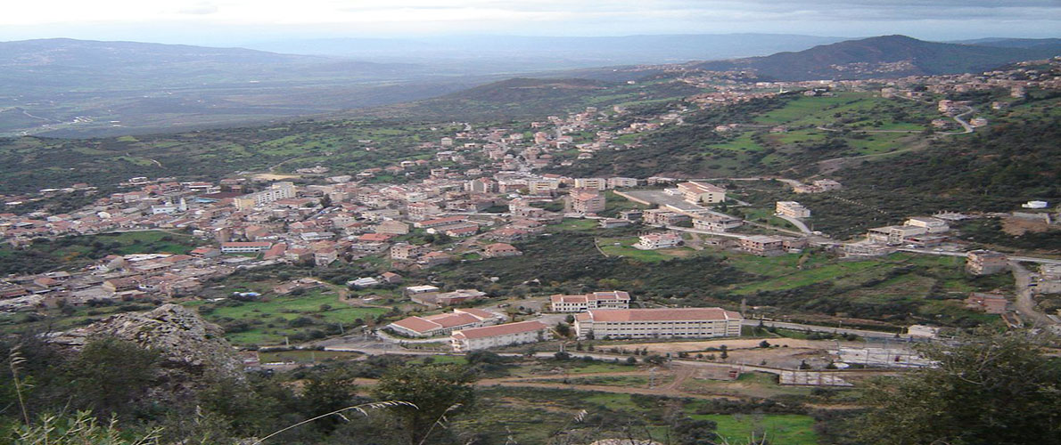 تيزي زوز: توزيع قرابة 35 ألف طرد غذائي