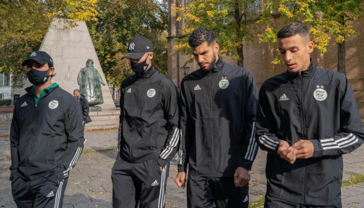 الخضر في شوارع لاهاي الهولندية 