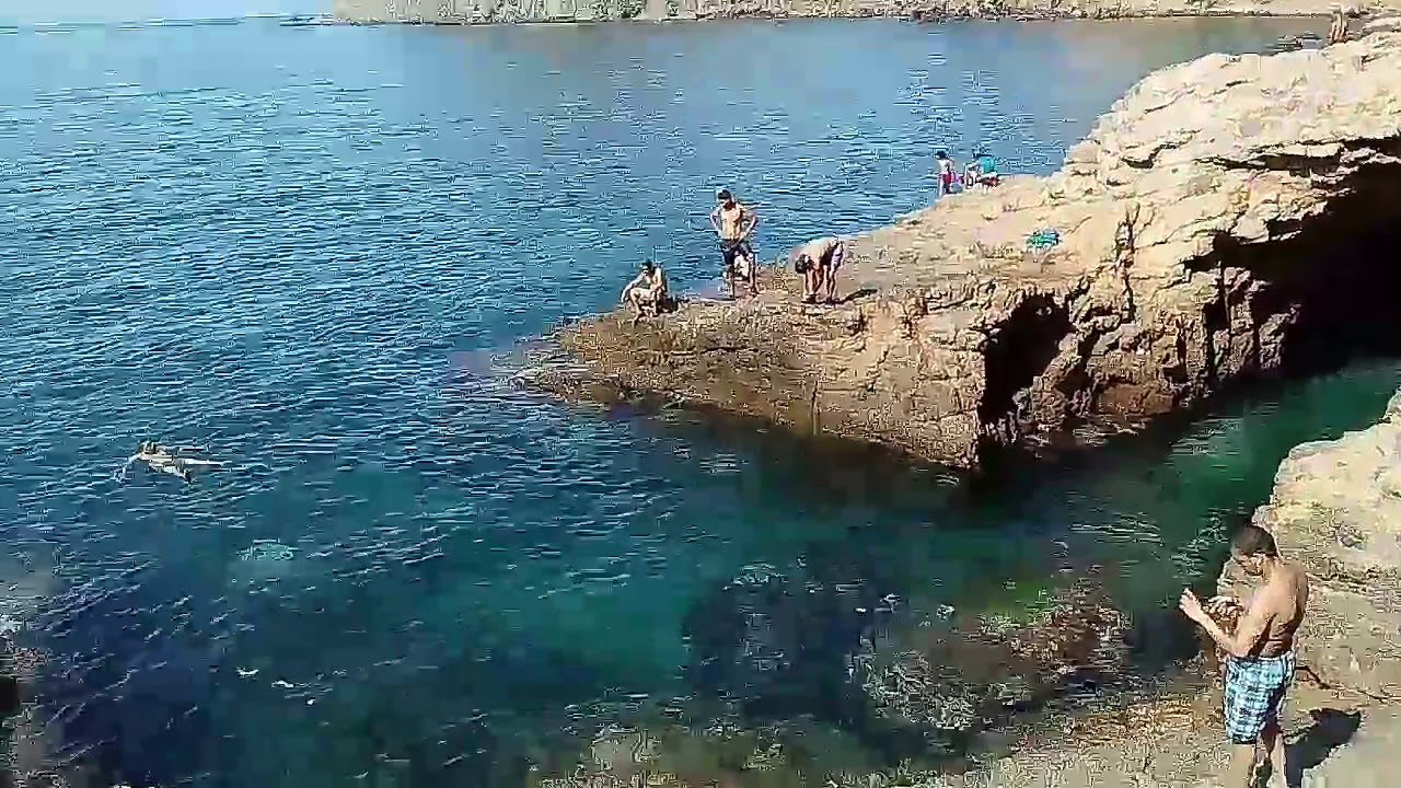 الشلف: تواصل البحث عن غريقة مفقودة