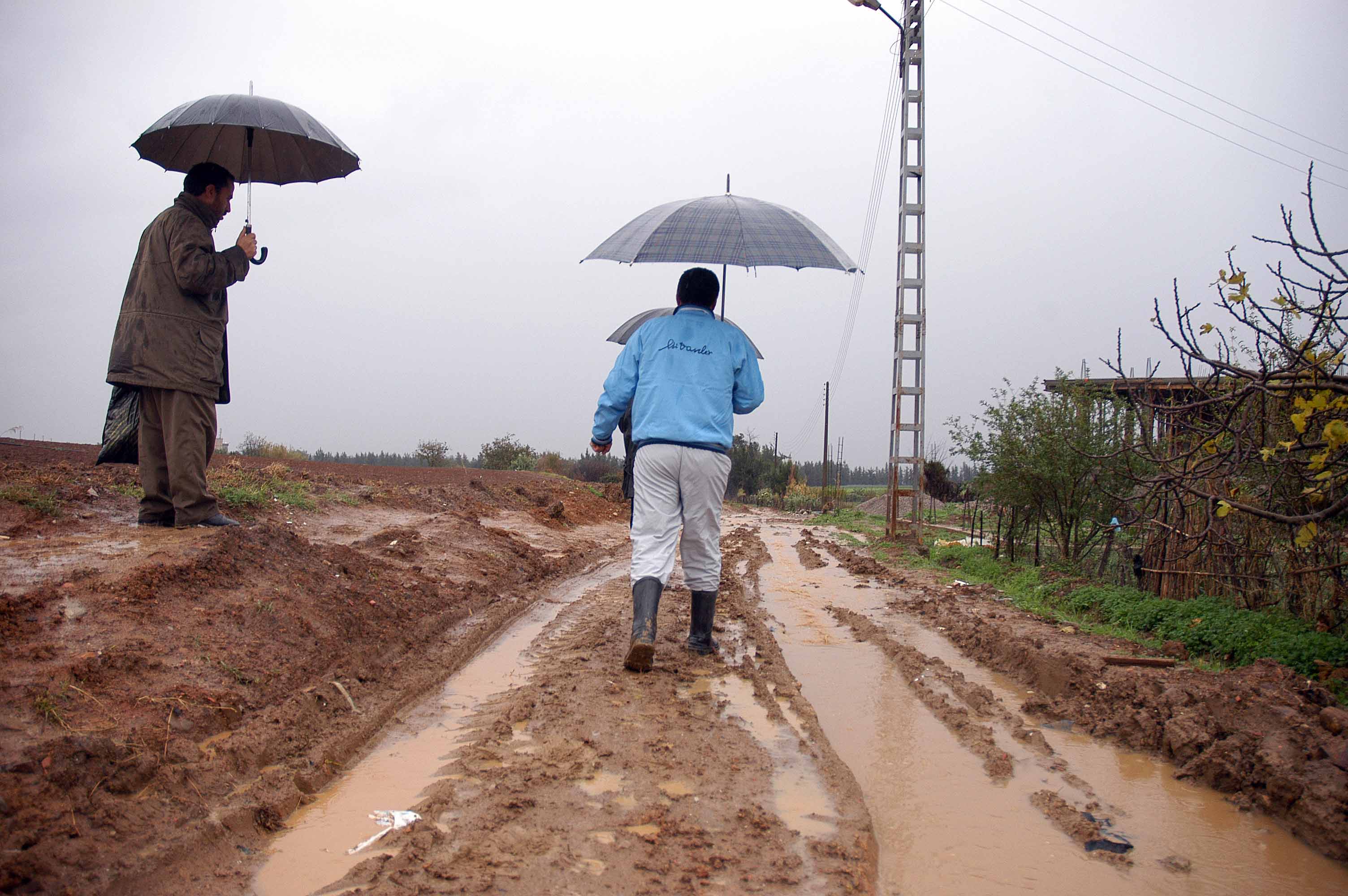 أمطار ورياح على عدة ولايات