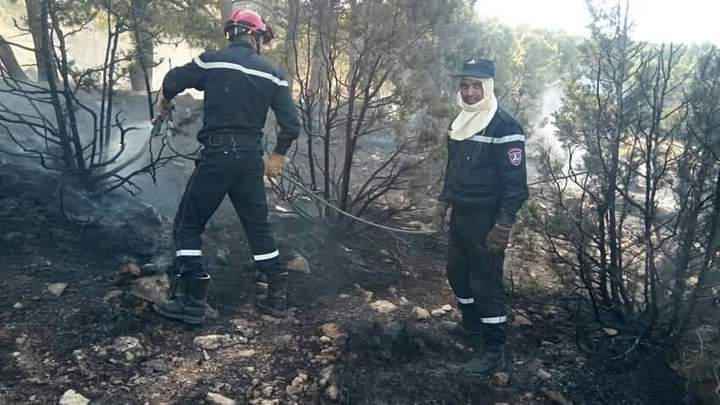 اخماد 4 حرائق في الغابات والمحاصيل بتبسة