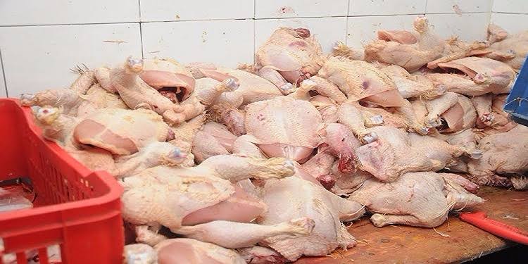 حجز 20 قنطارا من اللحوم البيضاء الفاسدة بالجلفة