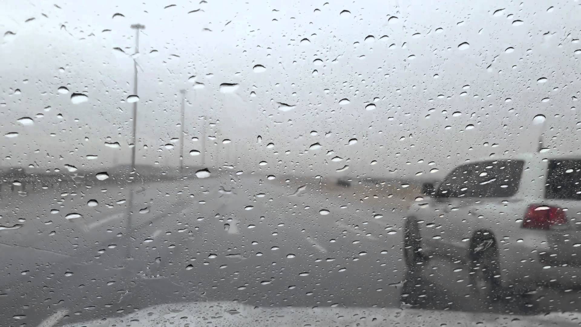 أمطار على هذه الولايات