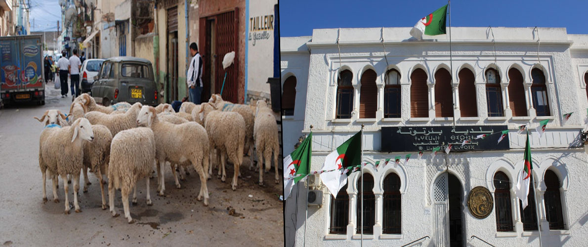 مقاطعة بئر توتة تمنع بيع الأضاحي في الأماكن العمومية