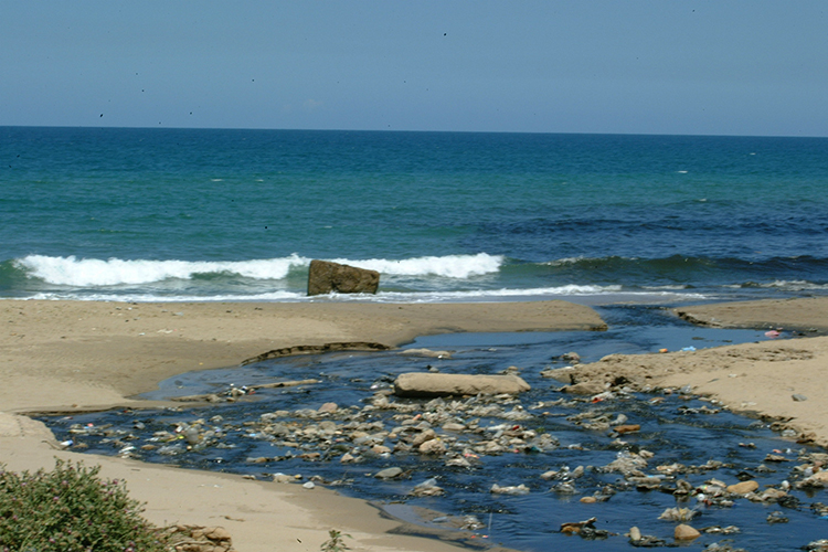 رسوم وغرامات وتعويضات لتمويل صندوق البيئة والساحل