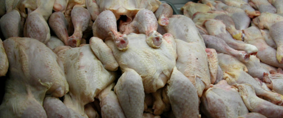 الدرك يحجز 474 كيلوغراما من الدجاج الفاسد