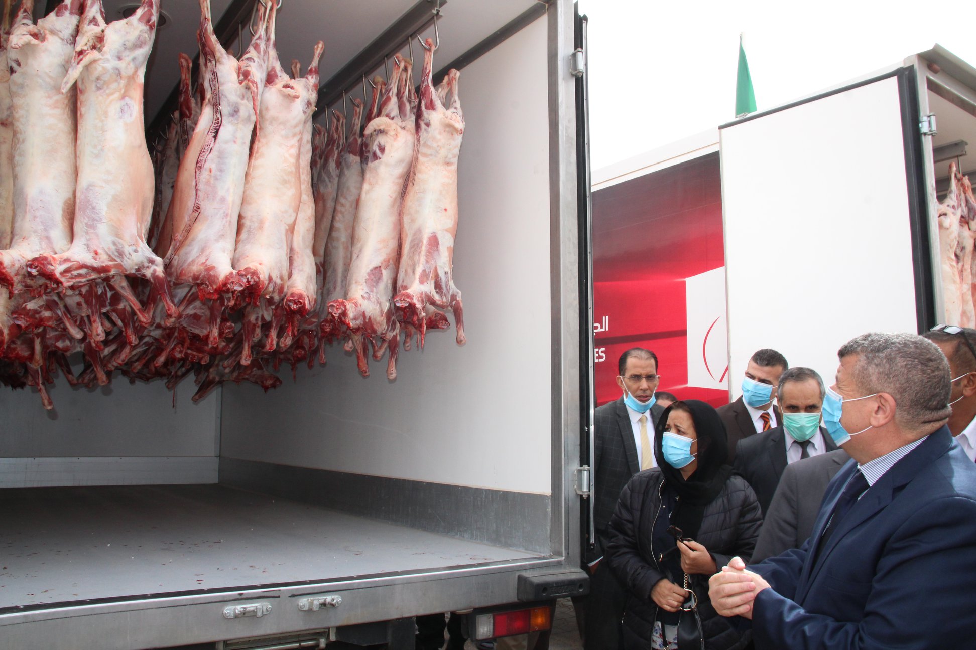 موالو النعامة يتضامنون ب 200 رأس ماشية 