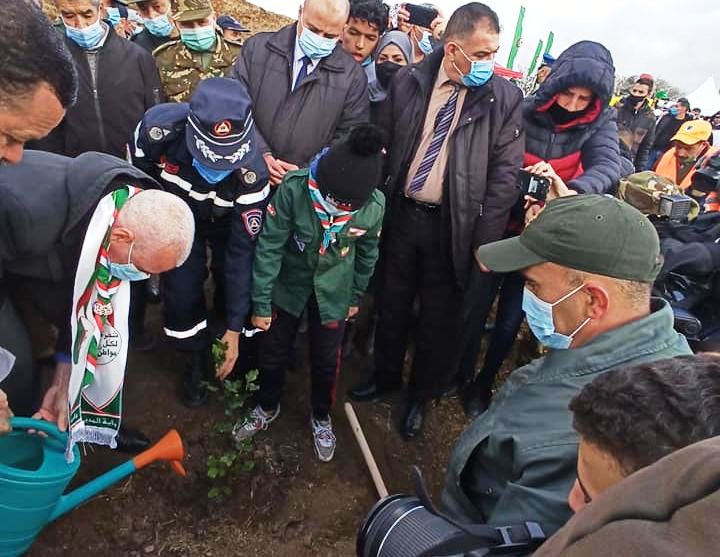 المدية: 15 ألف شجيرة في تحد رمزي للحرائق الإجرامية