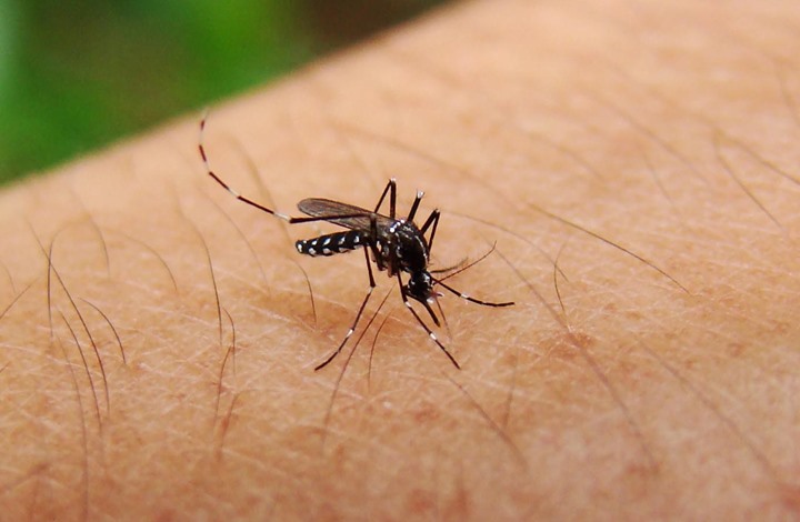 بيان من وزارة الصحة حول 