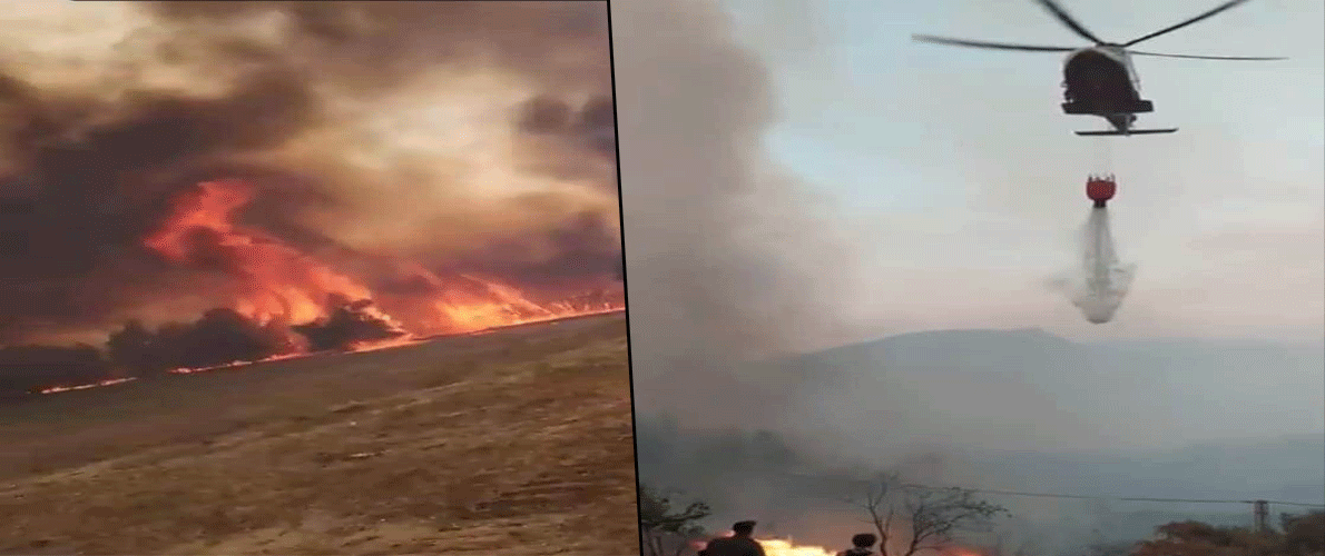 حرائق في 17 ولاية