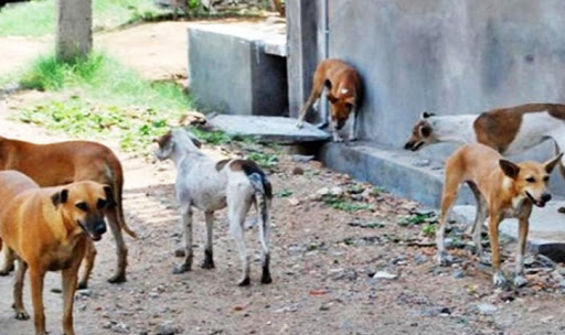 بن بوزيد: ضرورة تحقيق 