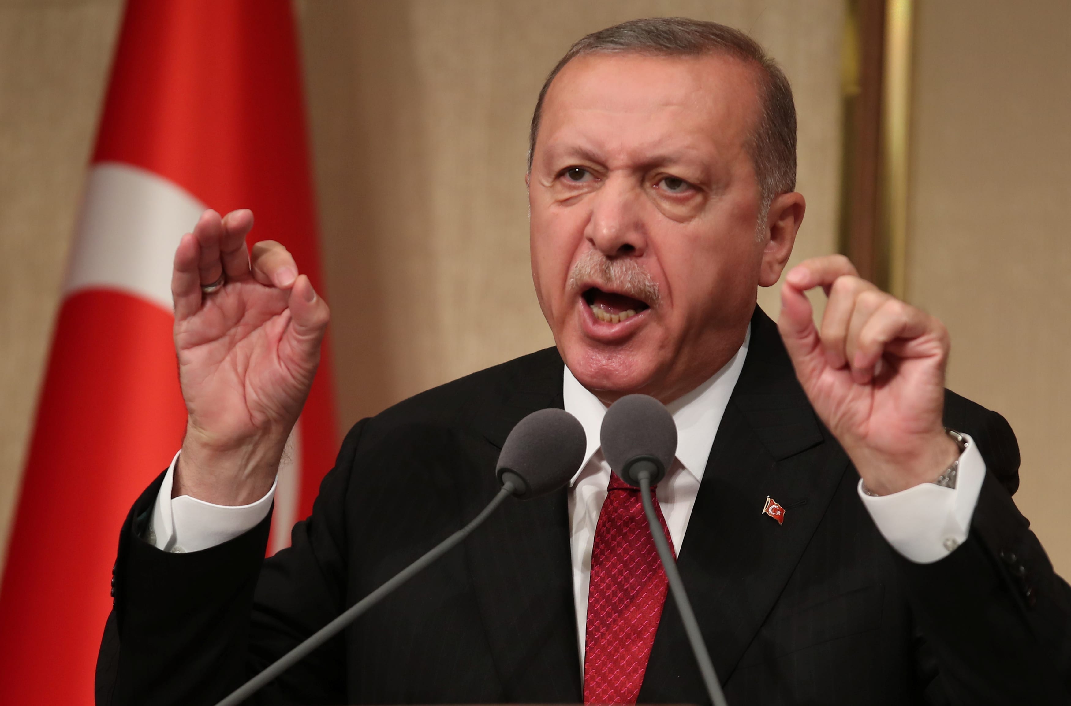 أردوغان يدرس سحب السفير التركي من أبو ظبي