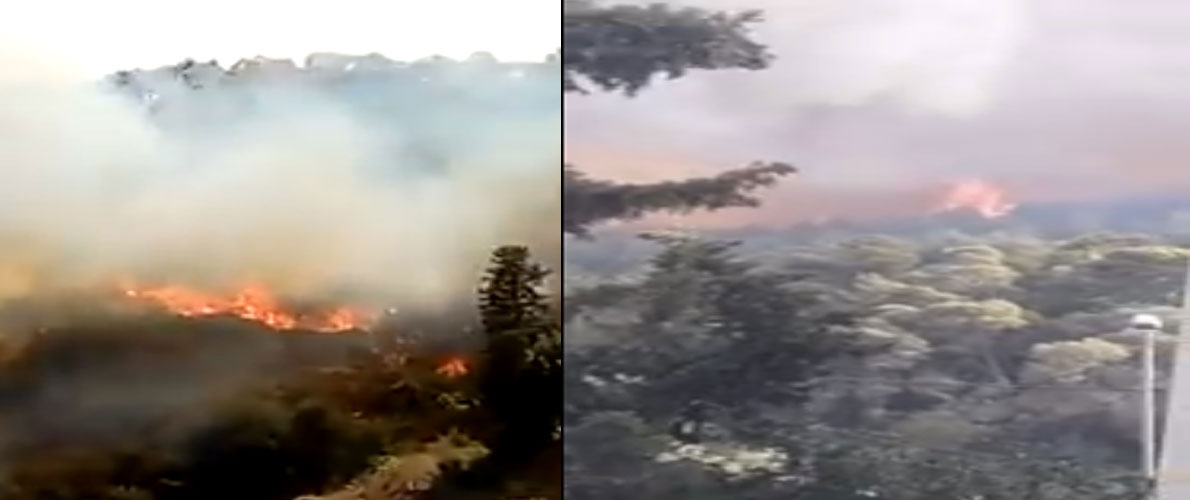 حرائق : إتلاف 16 هكتار بغابة 