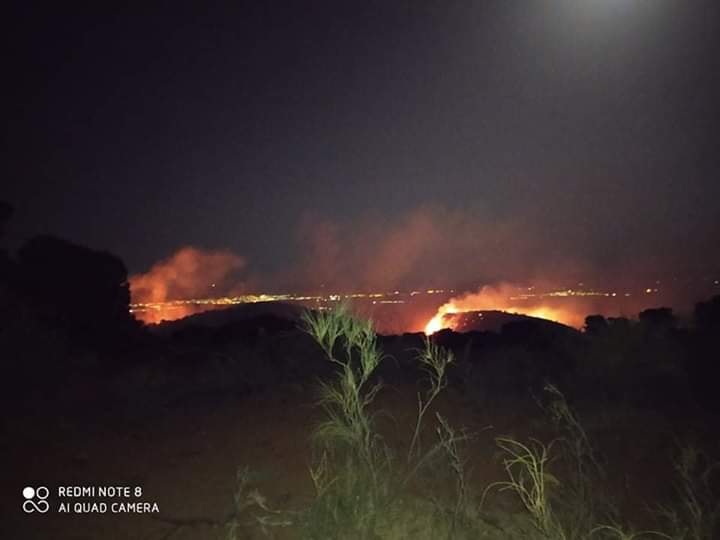 غليزان: حريق يأتي على 12 هكتارا من أشجار الصنوبر