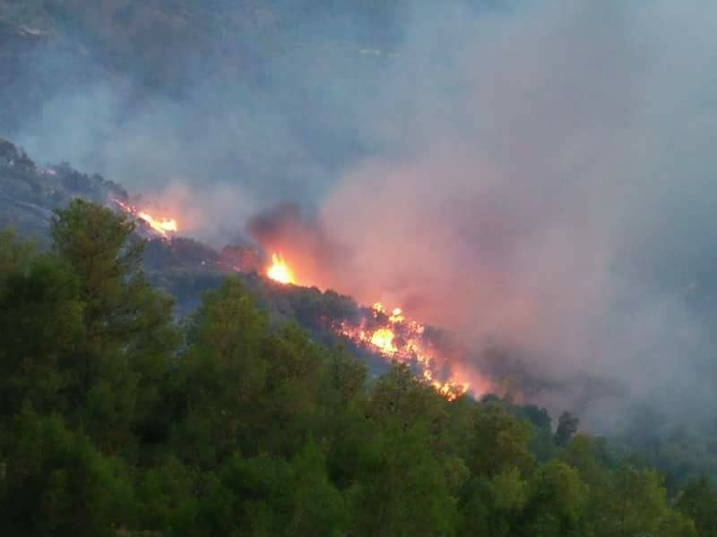 إخماد كل الحرائق المندلعة بالأطلس البليدي