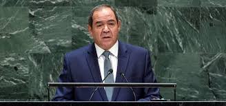 بوقادوم في زيارة عمل إلى النيجر