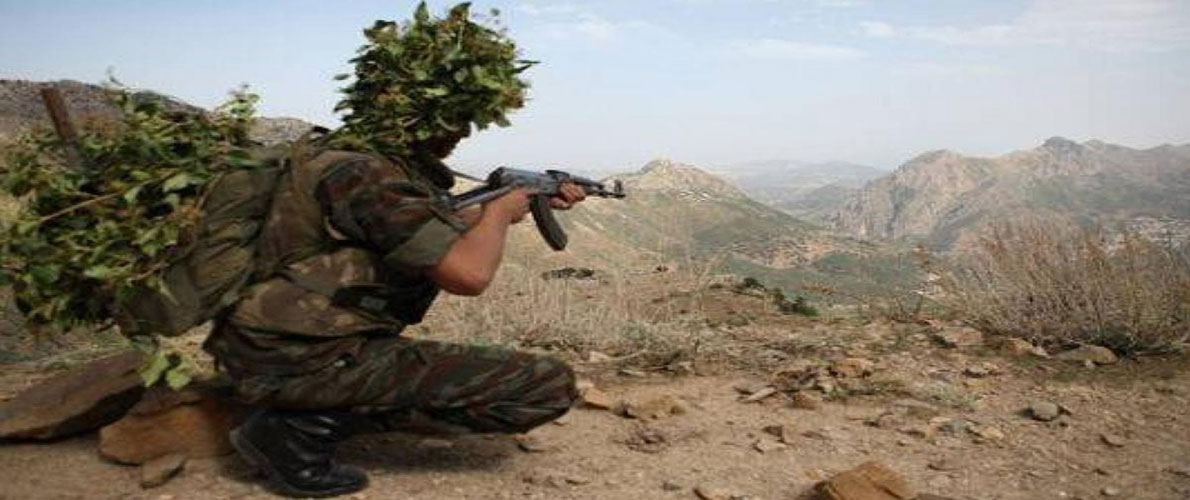  القبض على عنصر دعم للإرهاب بتيبازة 