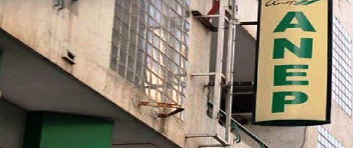 تنصيب عادل قنسوس رئيسا مديرا عاما لـ 