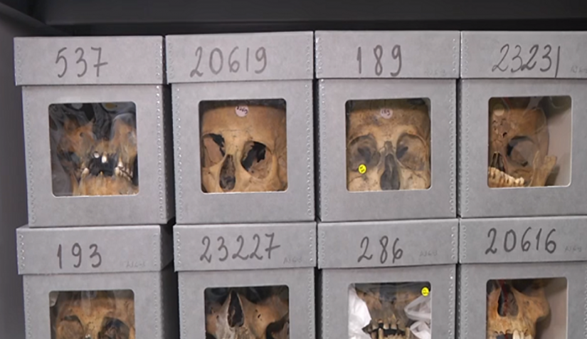 القائمة الإسمية للشهداء الذين جلبت الجزائر جماجمهم