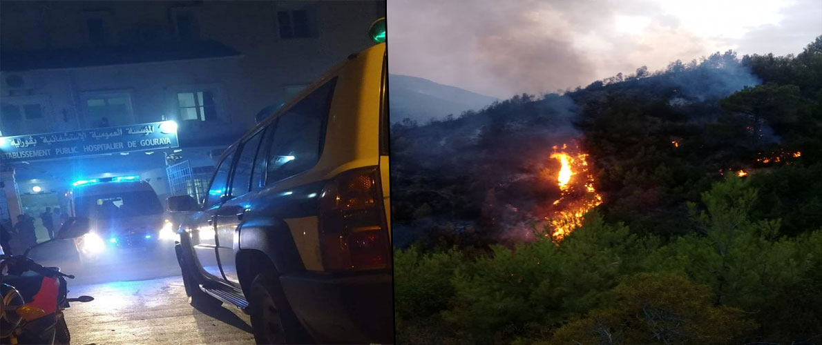 حرائق الغابات: وفاة شخصين بتيبازة