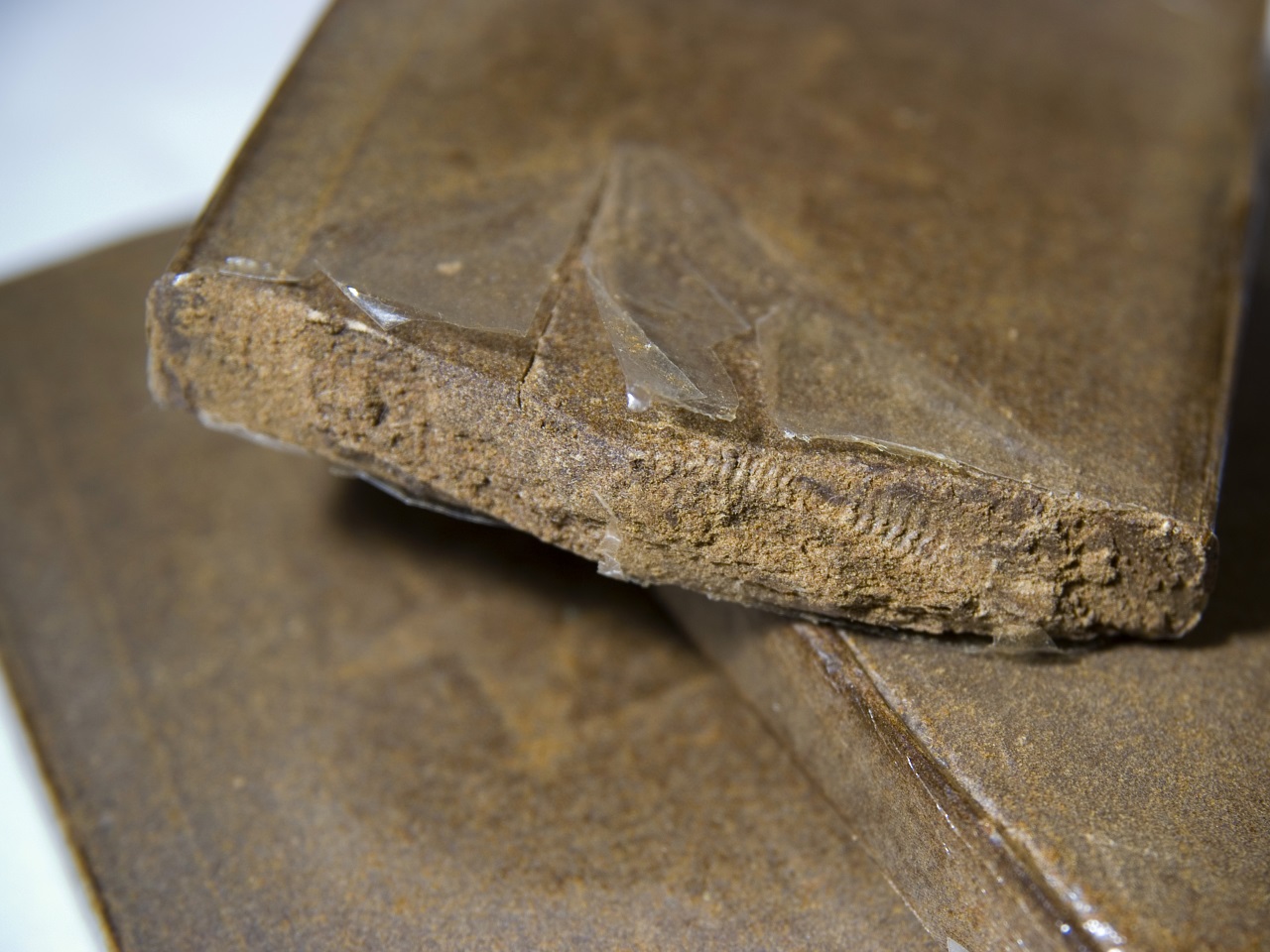 الوادي: توقيف راق مزيف بحوزته رطل من الكيف