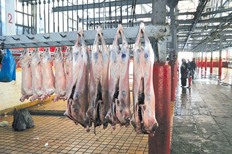 فتح مذبح الحراش لنحر أضاحي العيد