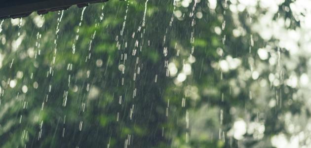 أمطار رعدية على 8 ولايات