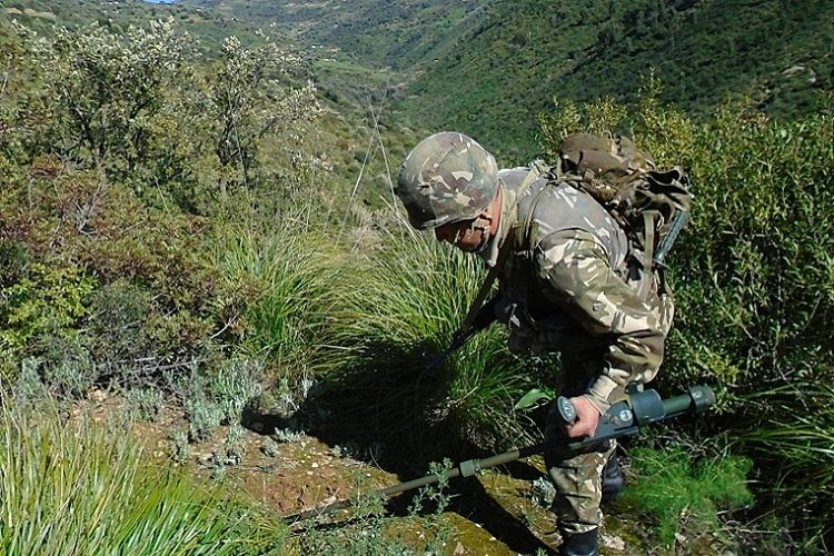 توقيف عنصر دعم للإرهاب بجيجل