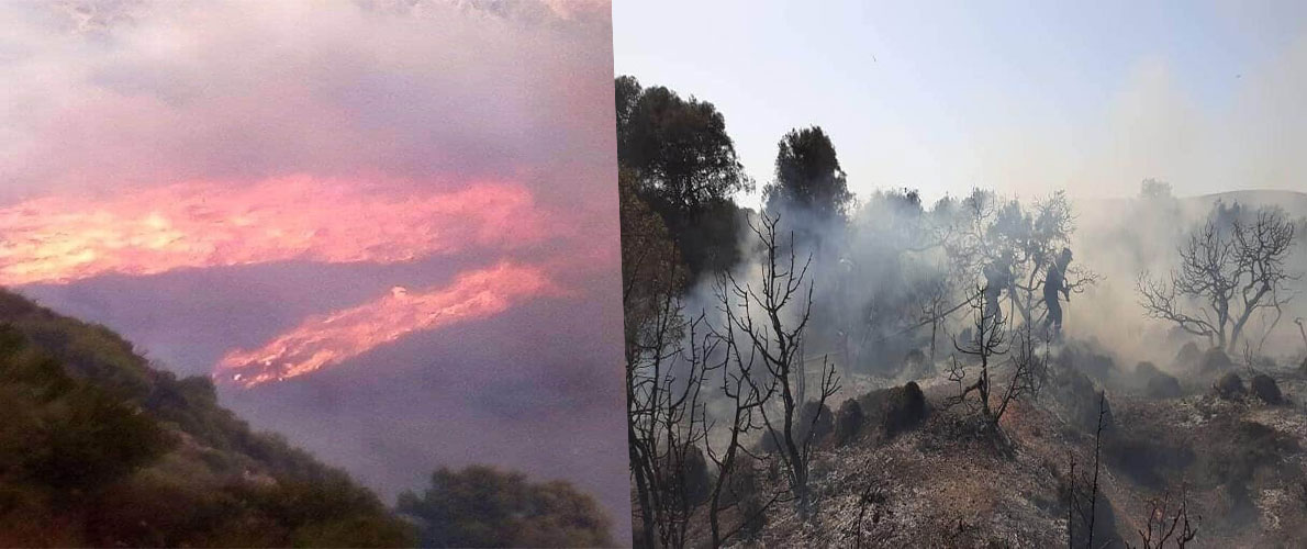 أعلى حصيلة حرائق منذ بداية الصيف