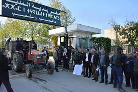 المدية: تجار سوق حي باب الأقواس يحتجون