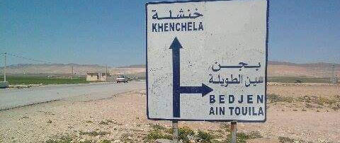 فياضانات في دائرتي العقلة والشريعة بتبسة‎