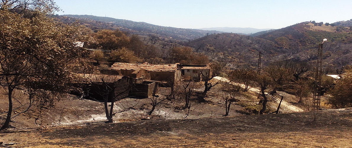  محافظة الغابات لتيزي وزو ترفع 15 دعوى قضائية 