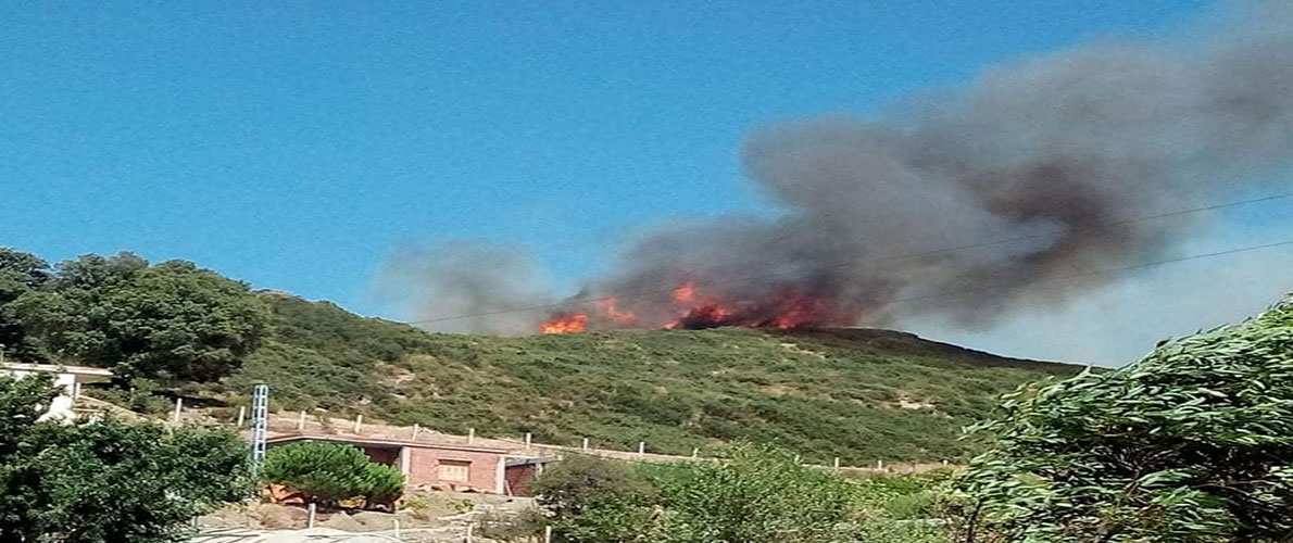 45 حريقا تلتهم غابات 25 بلدية ببجاية 